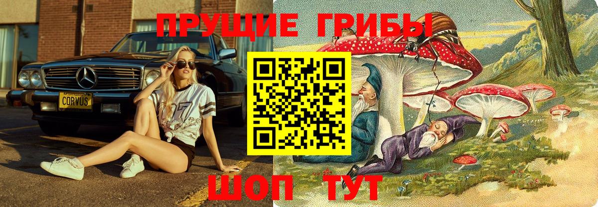 Псилоцибиновые грибы Psilocybine cubensis Соликамск